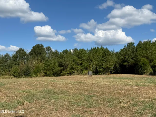 $752,500 | Shady Grove Road, Goodman, MS 39079