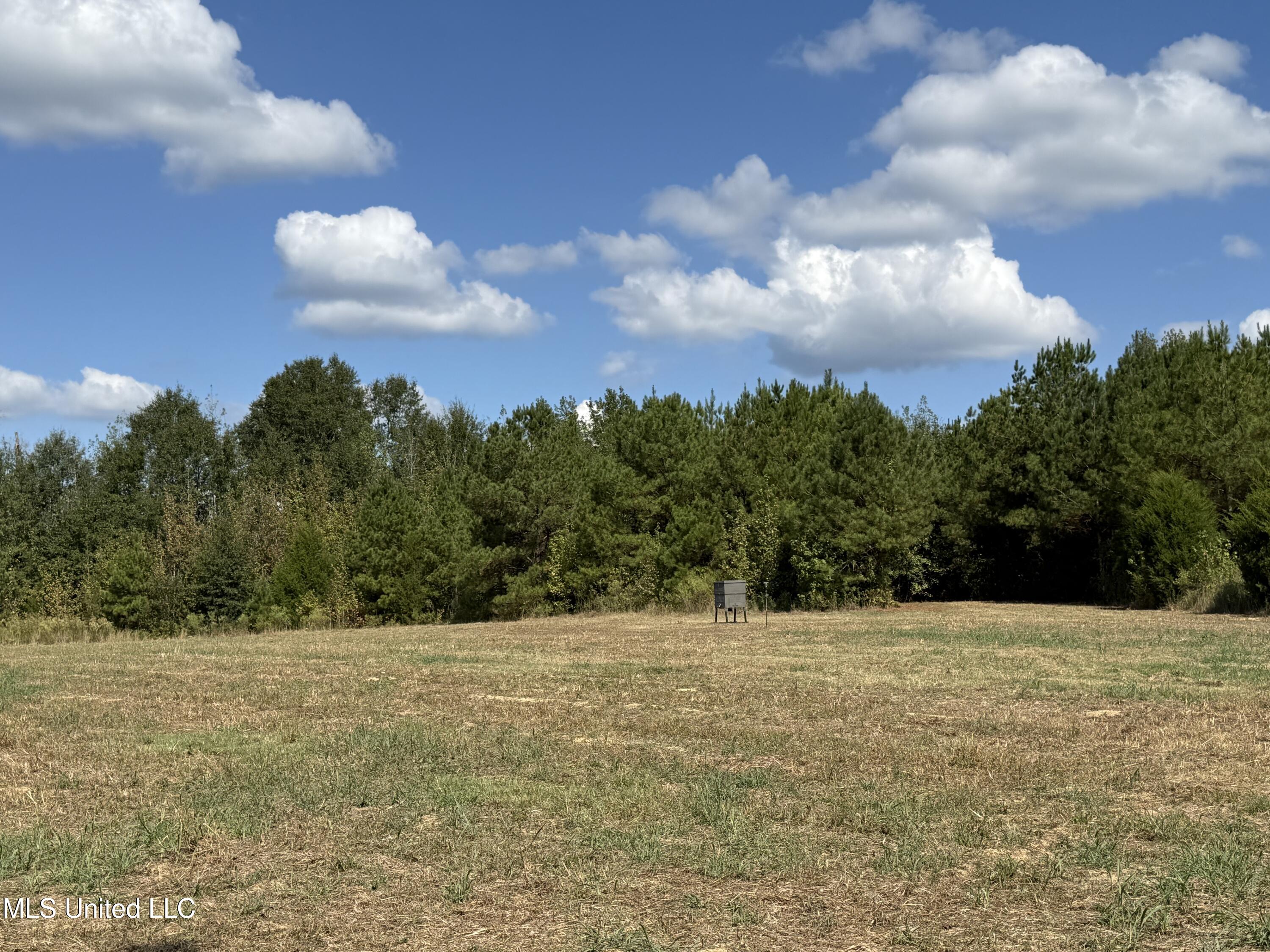 Shady Grove Road Goodman, MS 39079 - Photo 46 of 69 IMG_0585