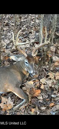 $752,500 | Shady Grove Road, Goodman, MS 39079