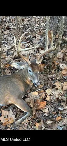 $752,500 | Shady Grove Road, Goodman, MS 39079