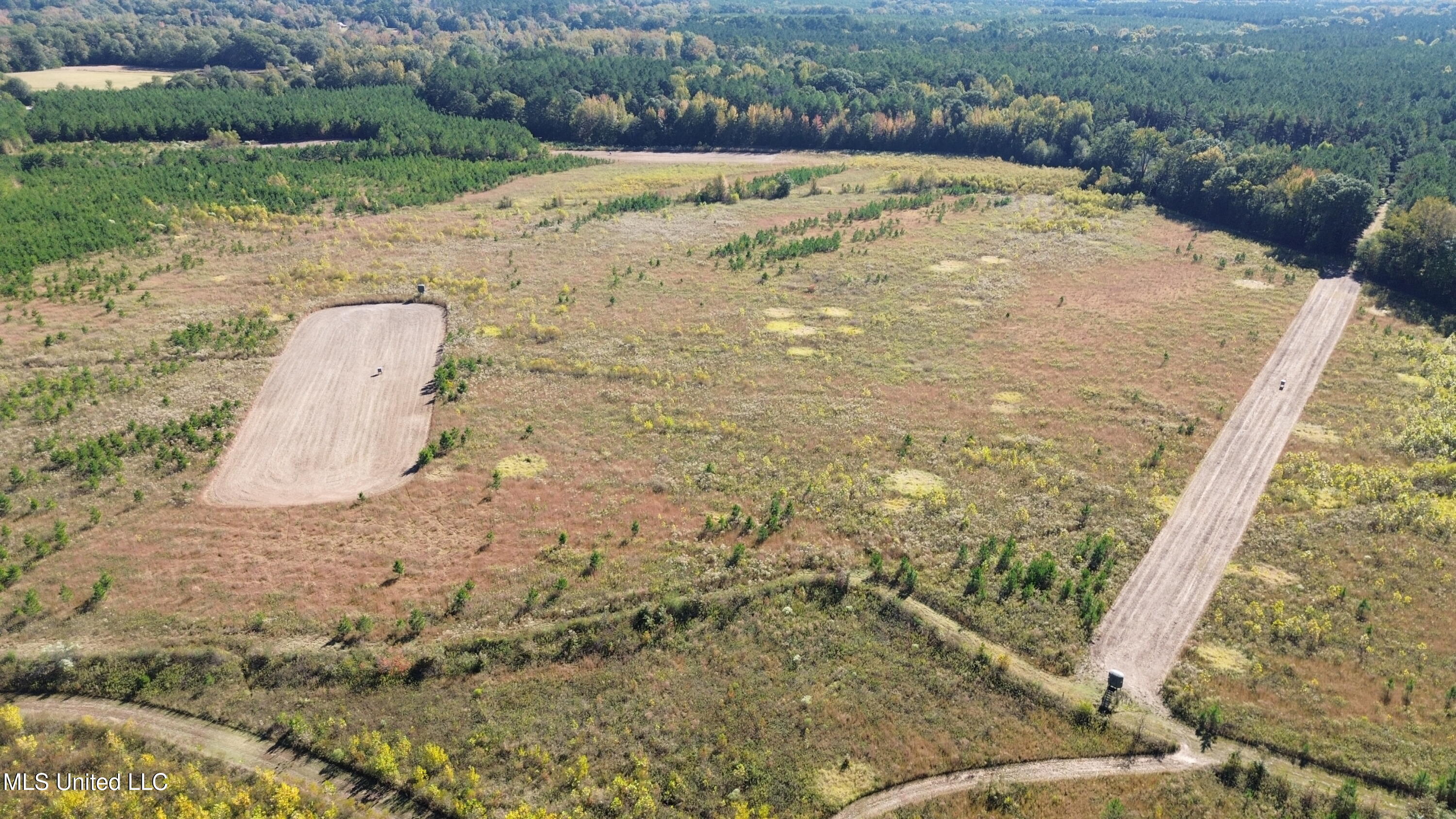 Shady Grove Road Goodman, MS 39079 - Photo 49 of 69 DJI_0105