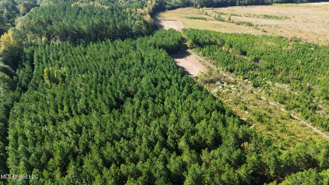 $752,500 | Shady Grove Road, Goodman, MS 39079