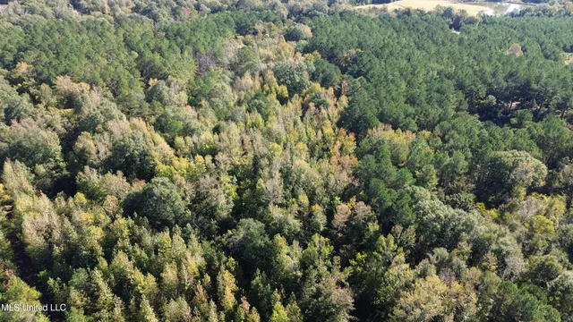 $752,500 | Shady Grove Road, Goodman, MS 39079