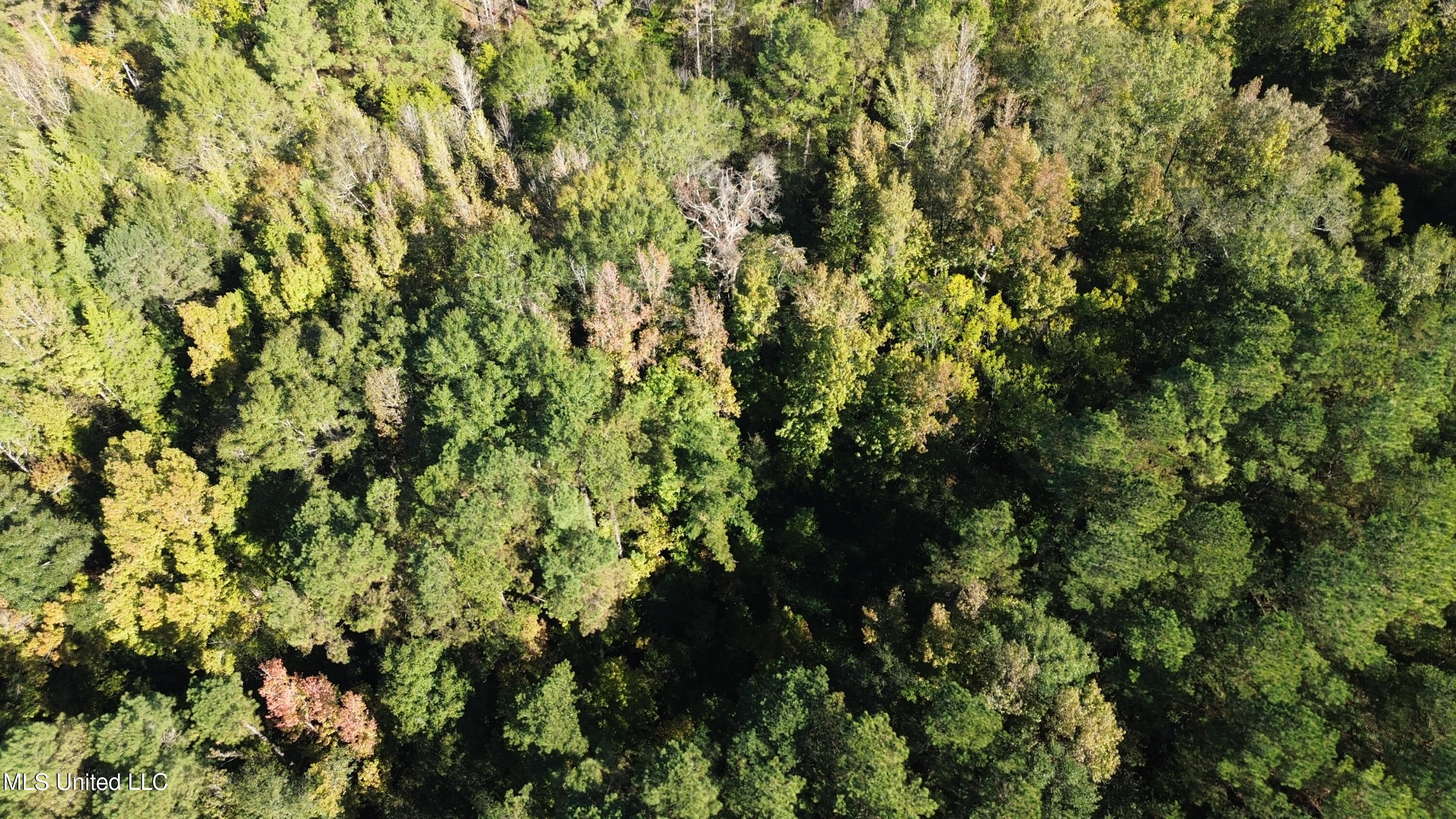 Shady Grove Road Goodman, MS 39079 - Photo 51 of 69 DJI_0113