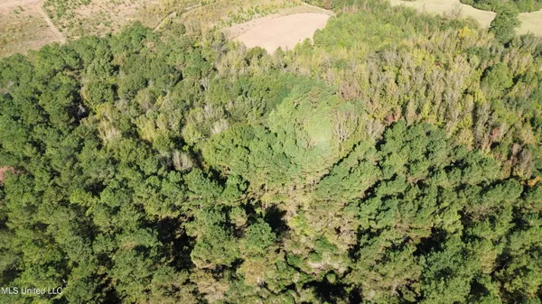 $752,500 | Shady Grove Road, Goodman, MS 39079