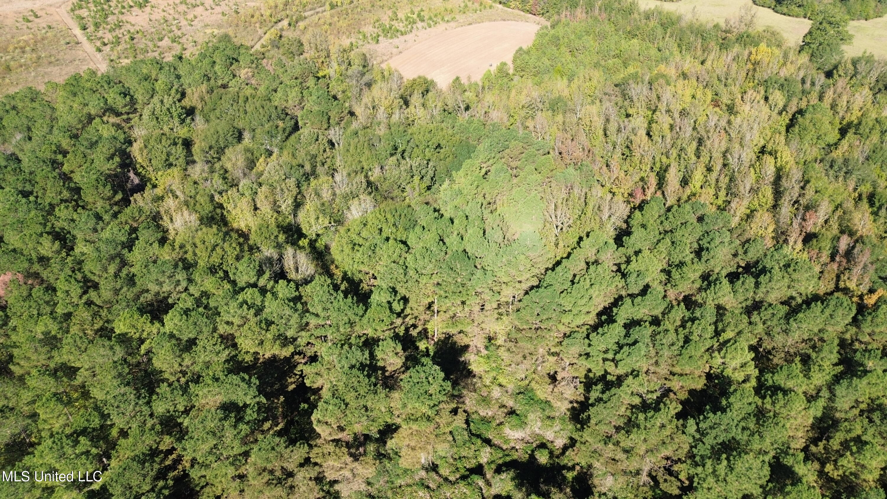 Shady Grove Road Goodman, MS 39079 - Photo 52 of 69 DJI_0110