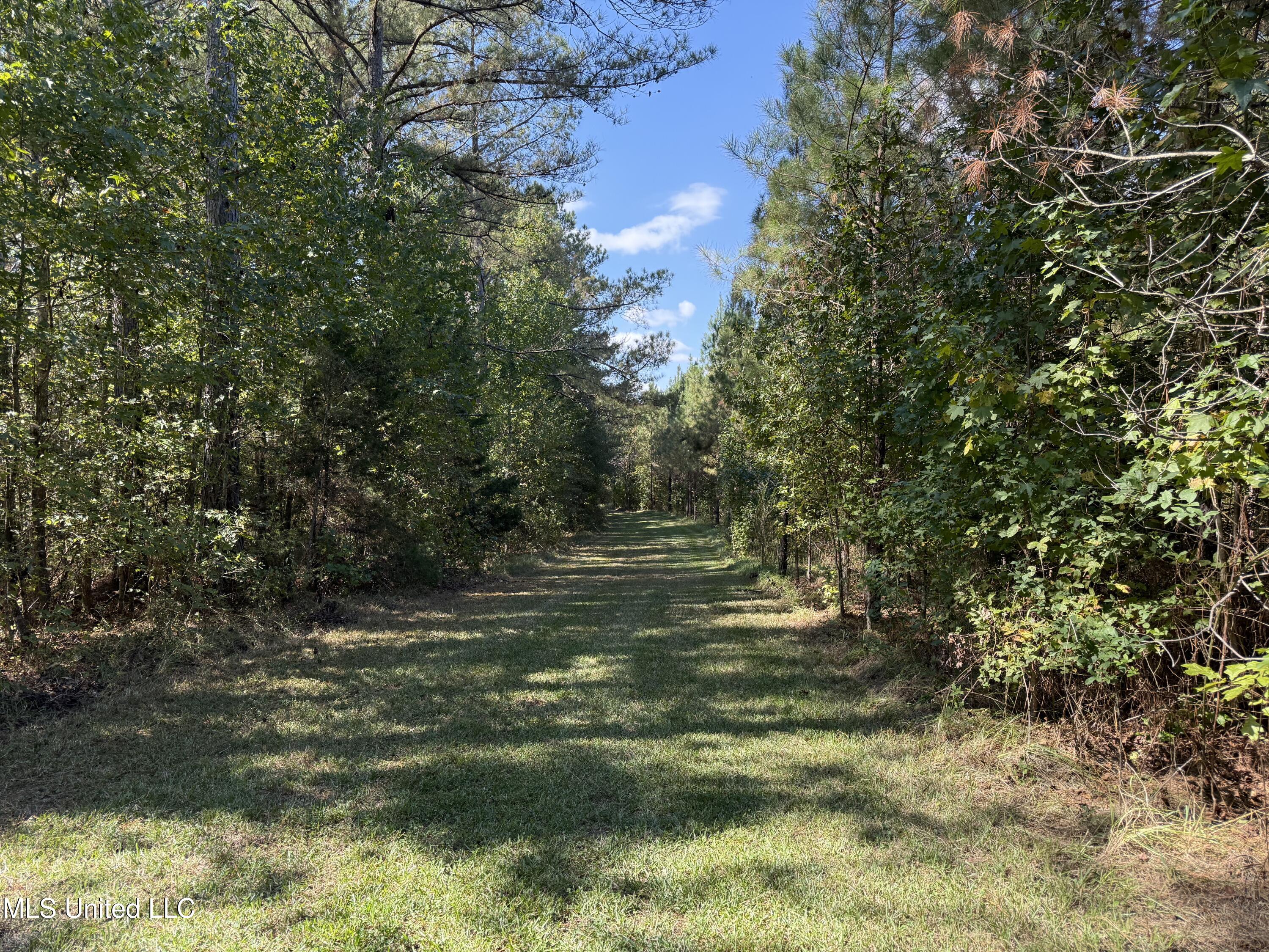 Shady Grove Road Goodman, MS 39079 - Photo 55 of 69 IMG_0566