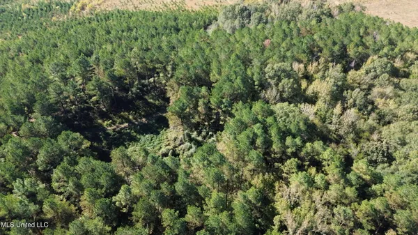 $752,500 | Shady Grove Road, Goodman, MS 39079