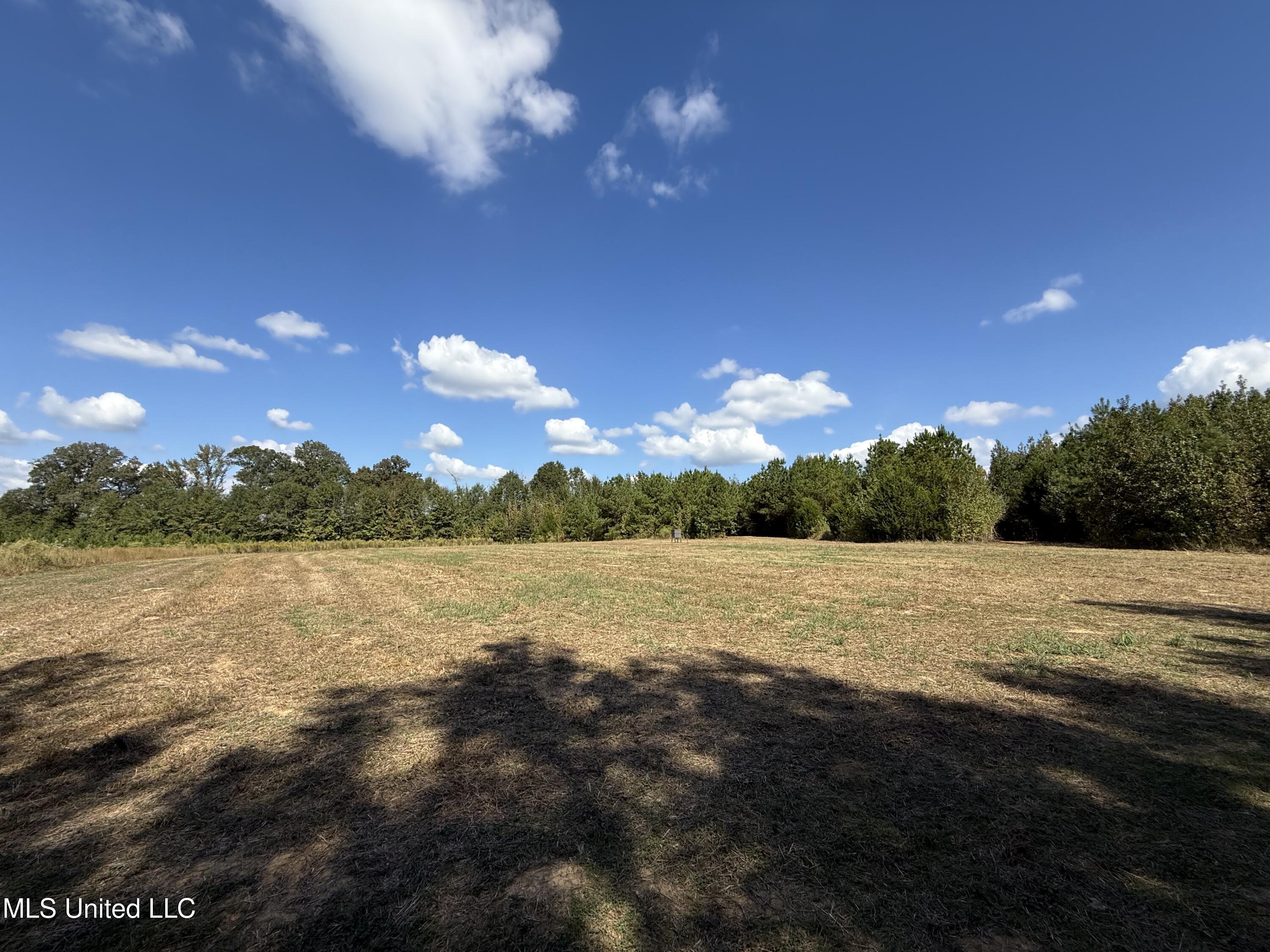 Shady Grove Road Goodman, MS 39079 - Photo 57 of 69 IMG_0584