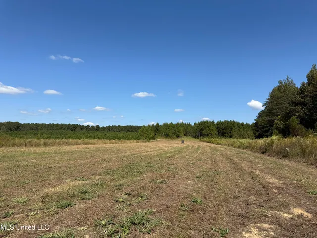 $752,500 | Shady Grove Road, Goodman, MS 39079