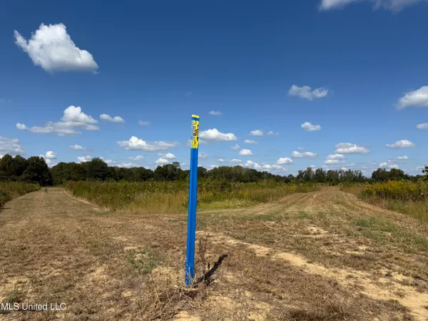 $752,500 | Shady Grove Road, Goodman, MS 39079