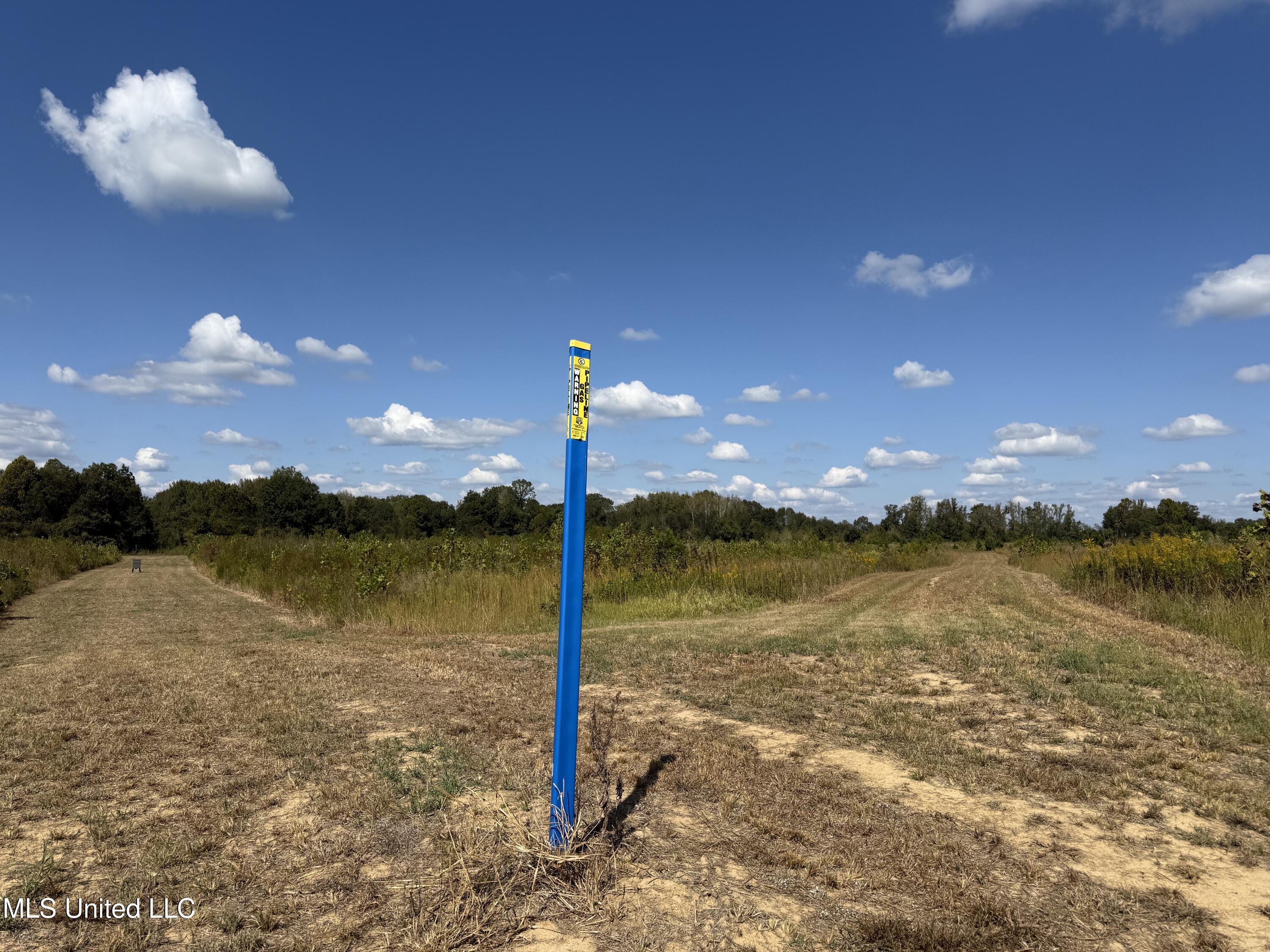 Shady Grove Road Goodman, MS 39079 - Photo 60 of 69 IMG_0579