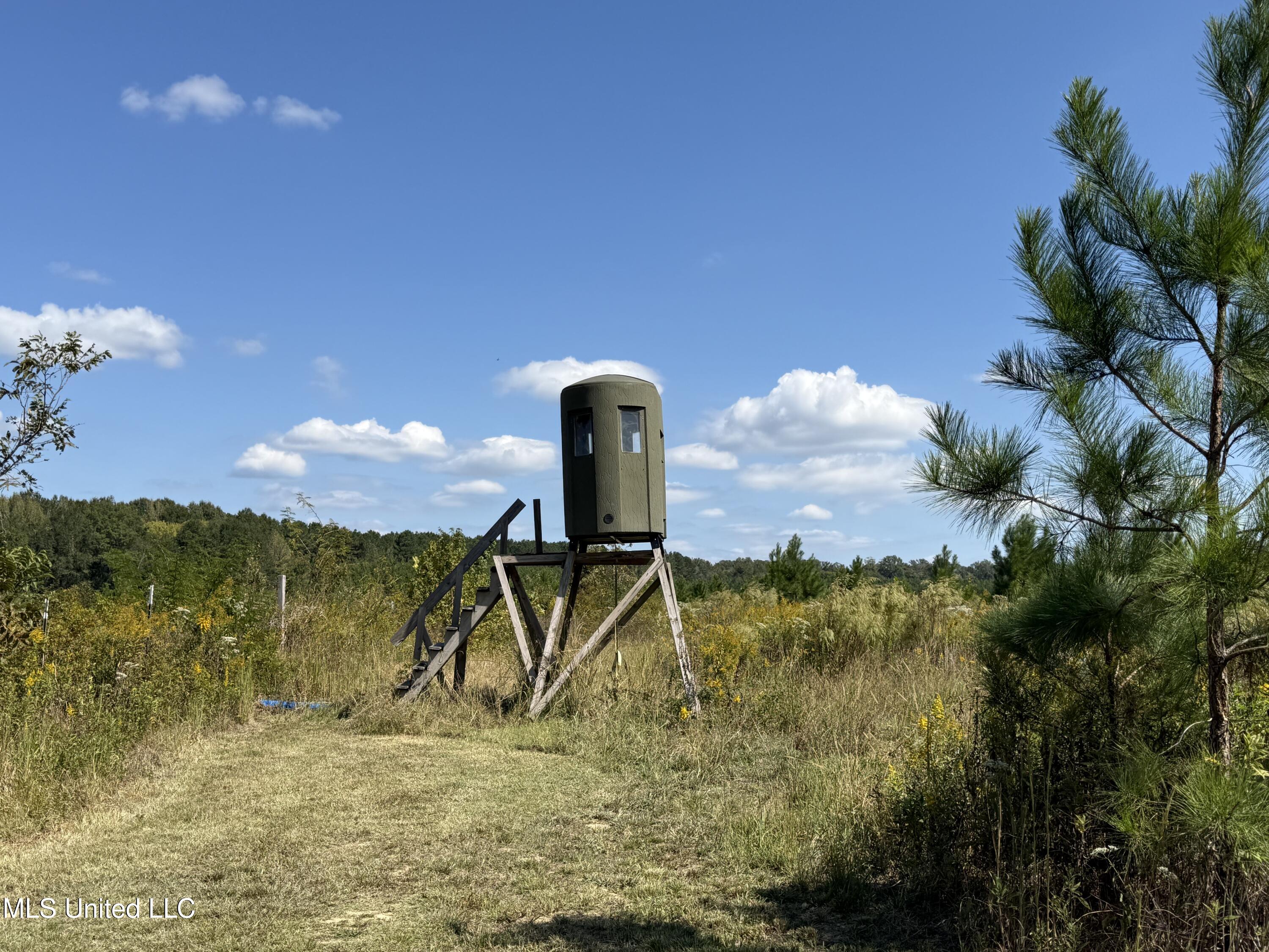 Shady Grove Road Goodman, MS 39079 - Photo 62 of 69 IMG_0577