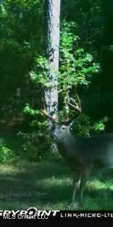 $752,500 | Shady Grove Road, Goodman, MS 39079