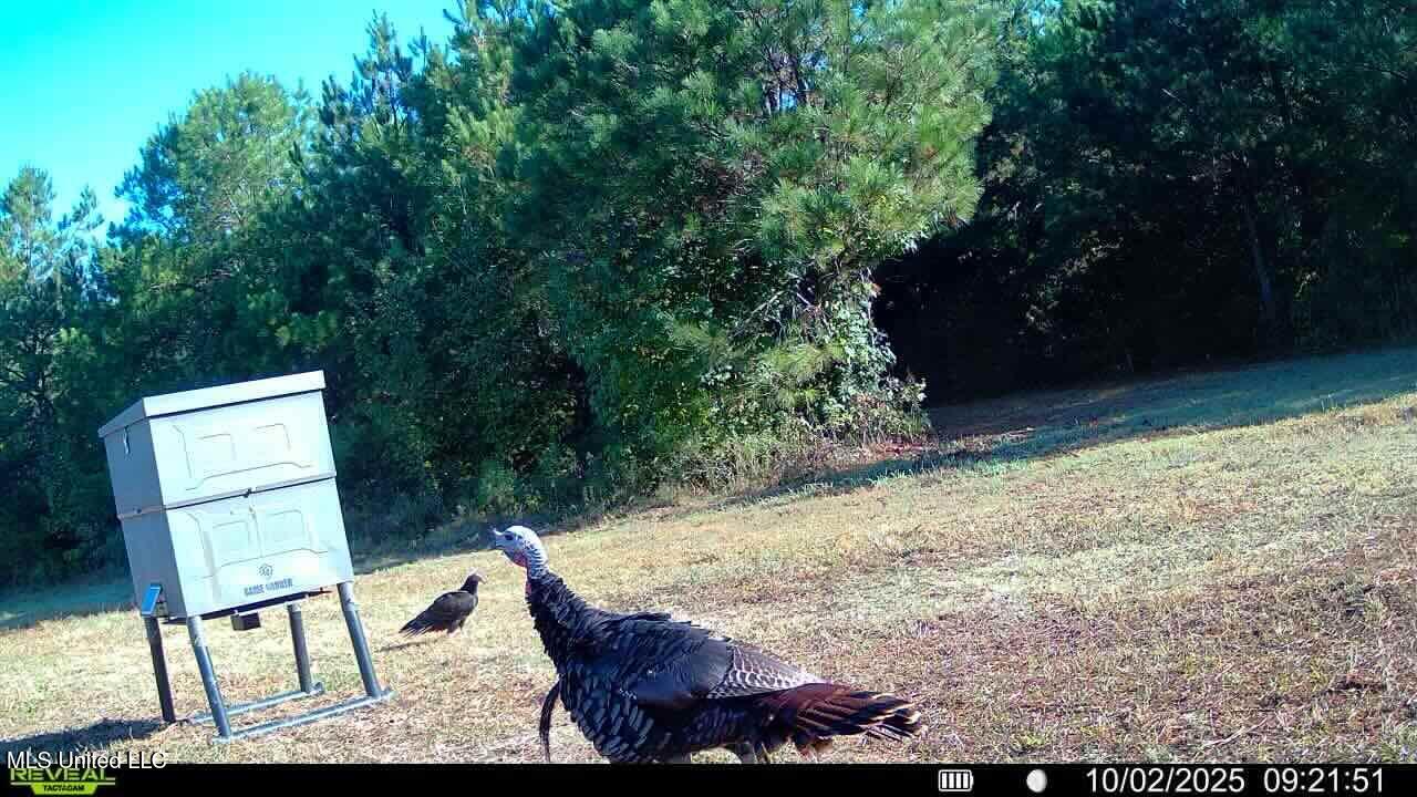 Shady Grove Road Goodman, MS 39079 - Photo 64 of 69 016579009621629-66-4-10022025092151-SYFW