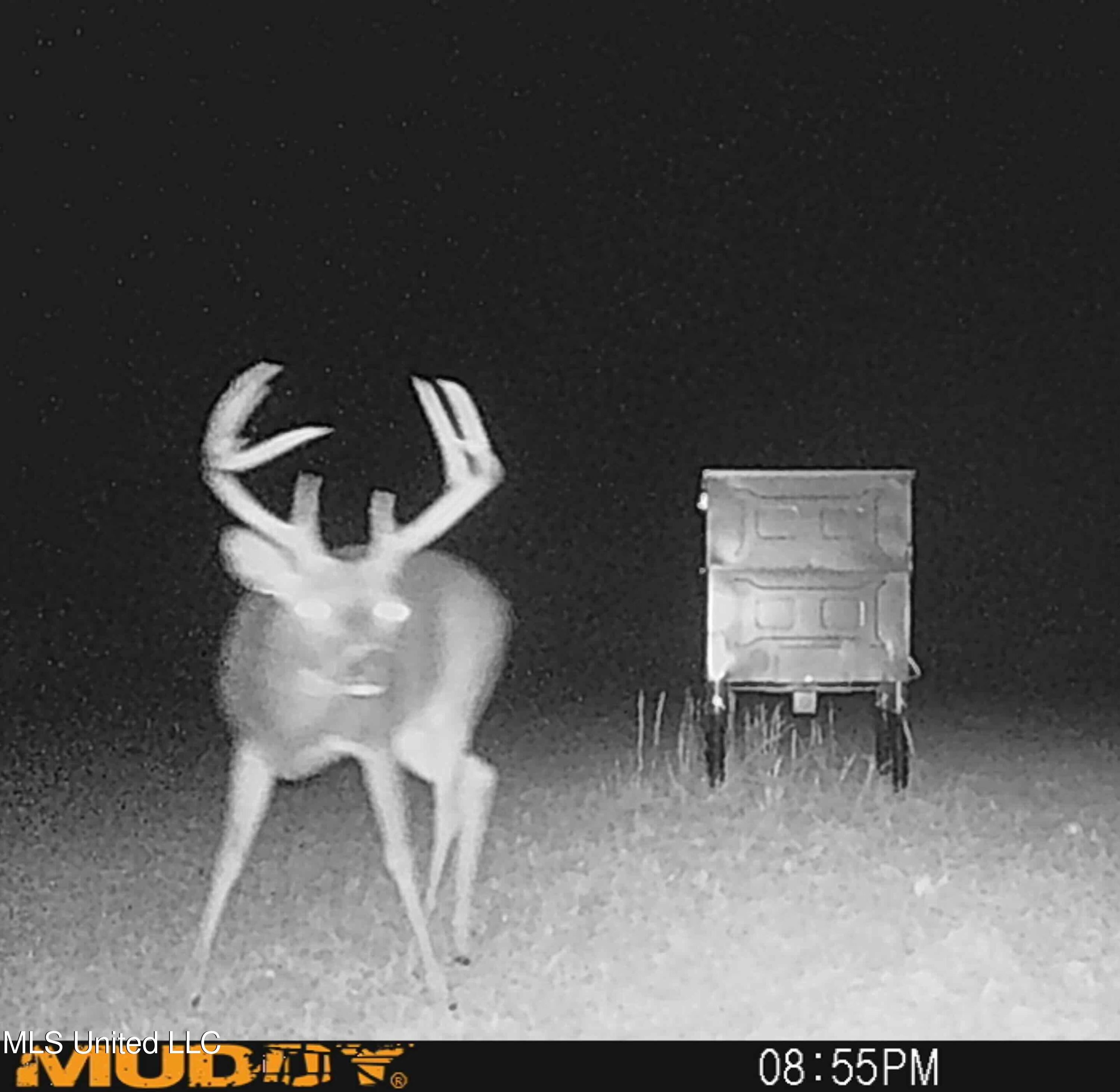 Shady Grove Road Goodman, MS 39079 - Photo 65 of 69 IMG_0553