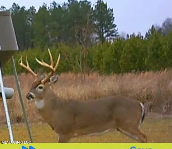 $752,500 | Shady Grove Road, Goodman, MS 39079