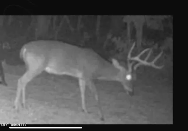 $752,500 | Shady Grove Road, Goodman, MS 39079