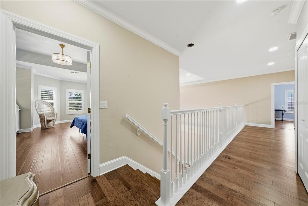 9244 Rhea Drive Odessa, FL 33556 - Photo 17 of 57
