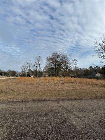 Tbd Loranger Trace Loranger, LA 70446 - Photo 3 of 4