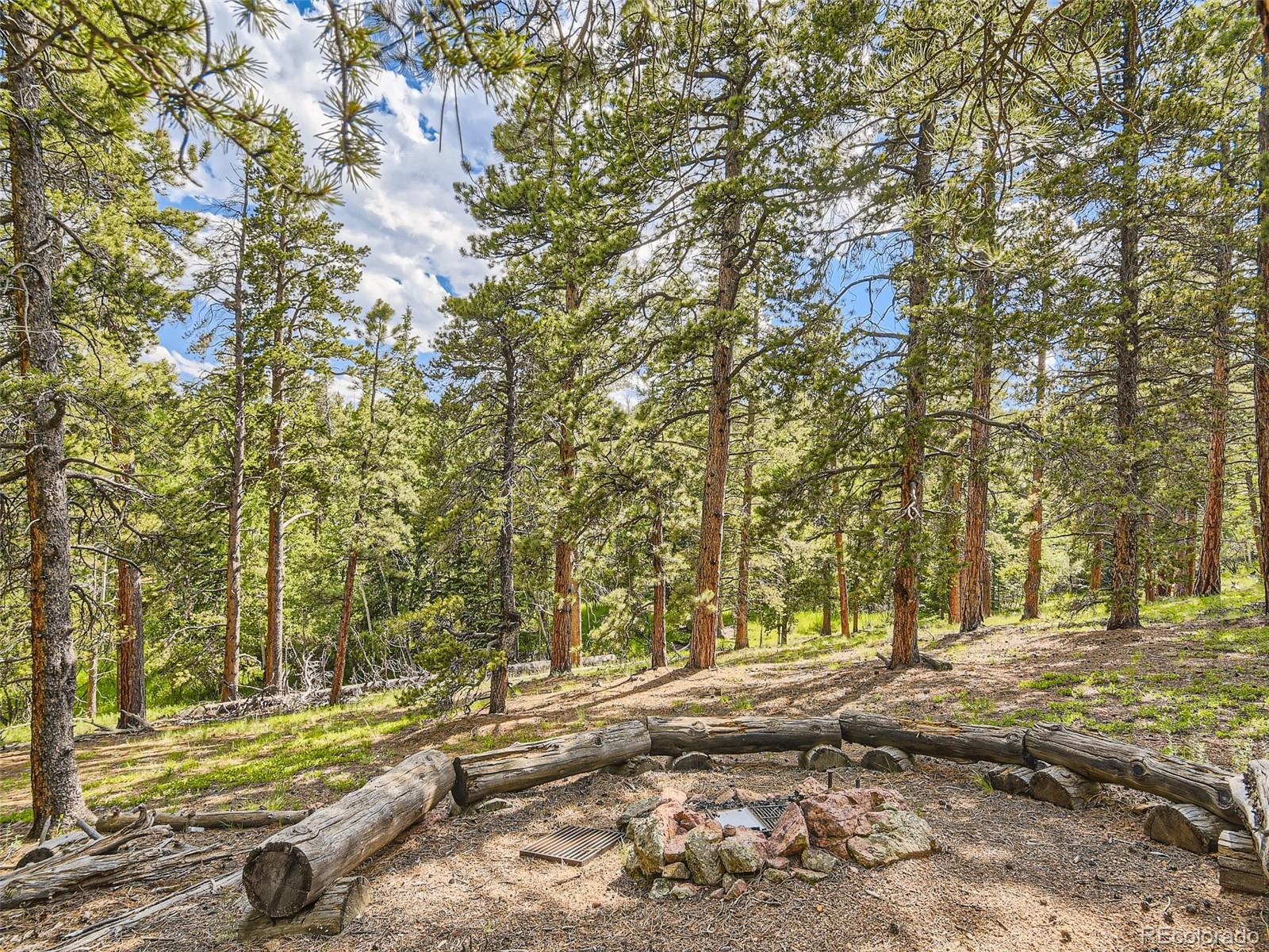 105 Royal Lane Bailey, CO 80421 - Photo 11 of 11 a view of yard