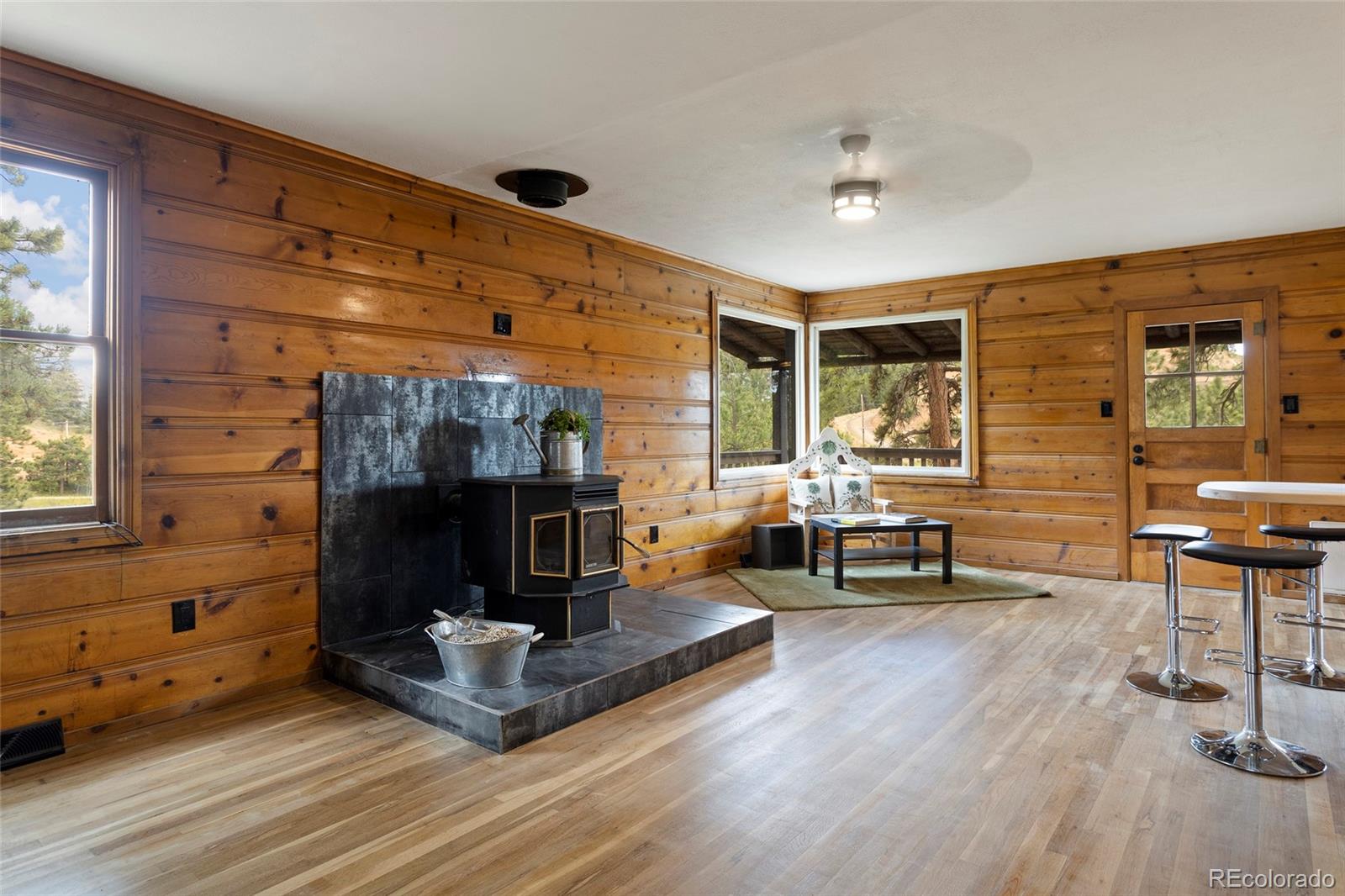 34200 Sioux Trail Pine, CO 80470 - Photo 11 of 37 a living room with furniture and a fireplace