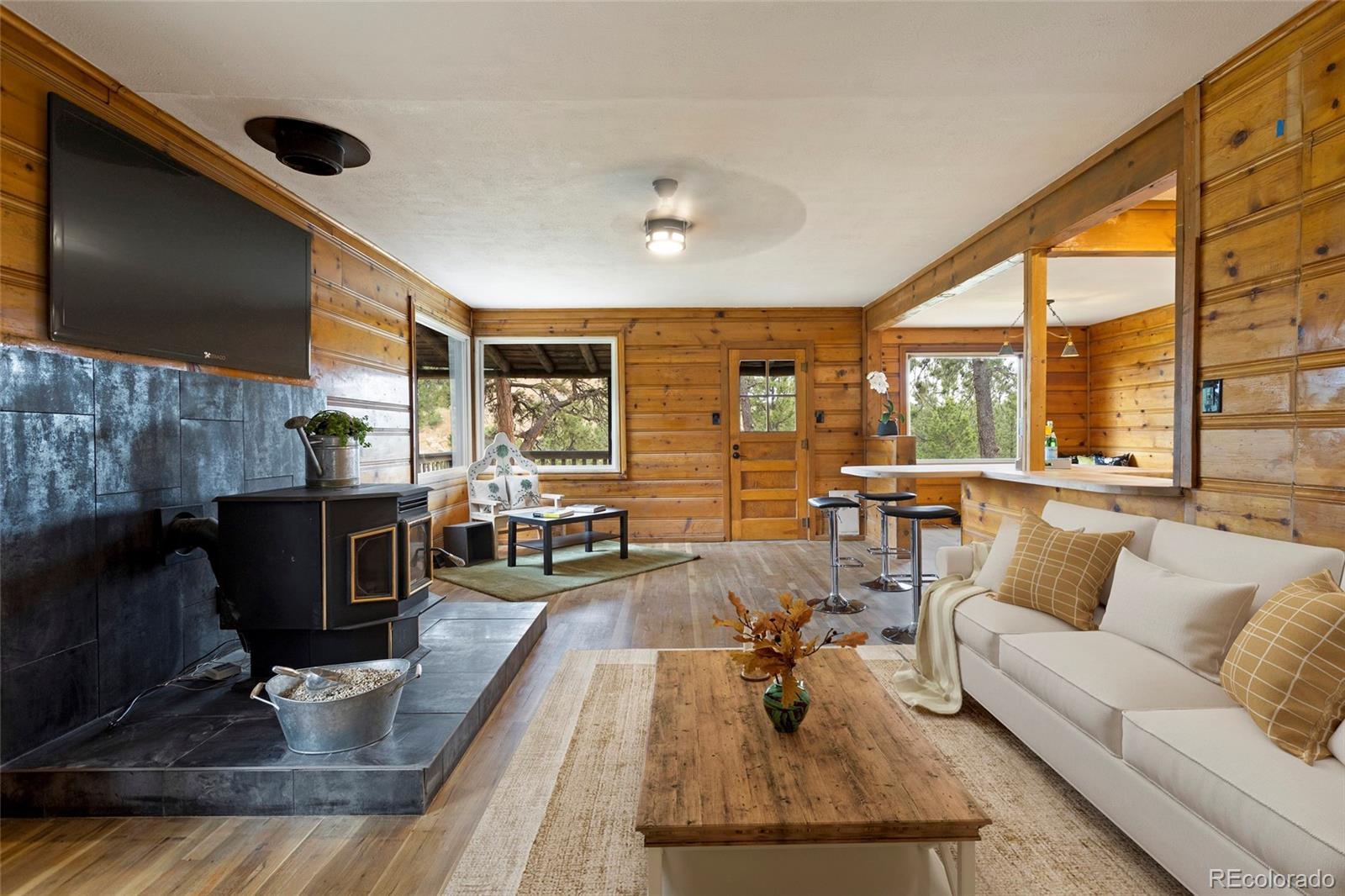 34200 Sioux Trail Pine, CO 80470 - Photo 9 of 37 a living room with fireplace furniture and a flat screen tv