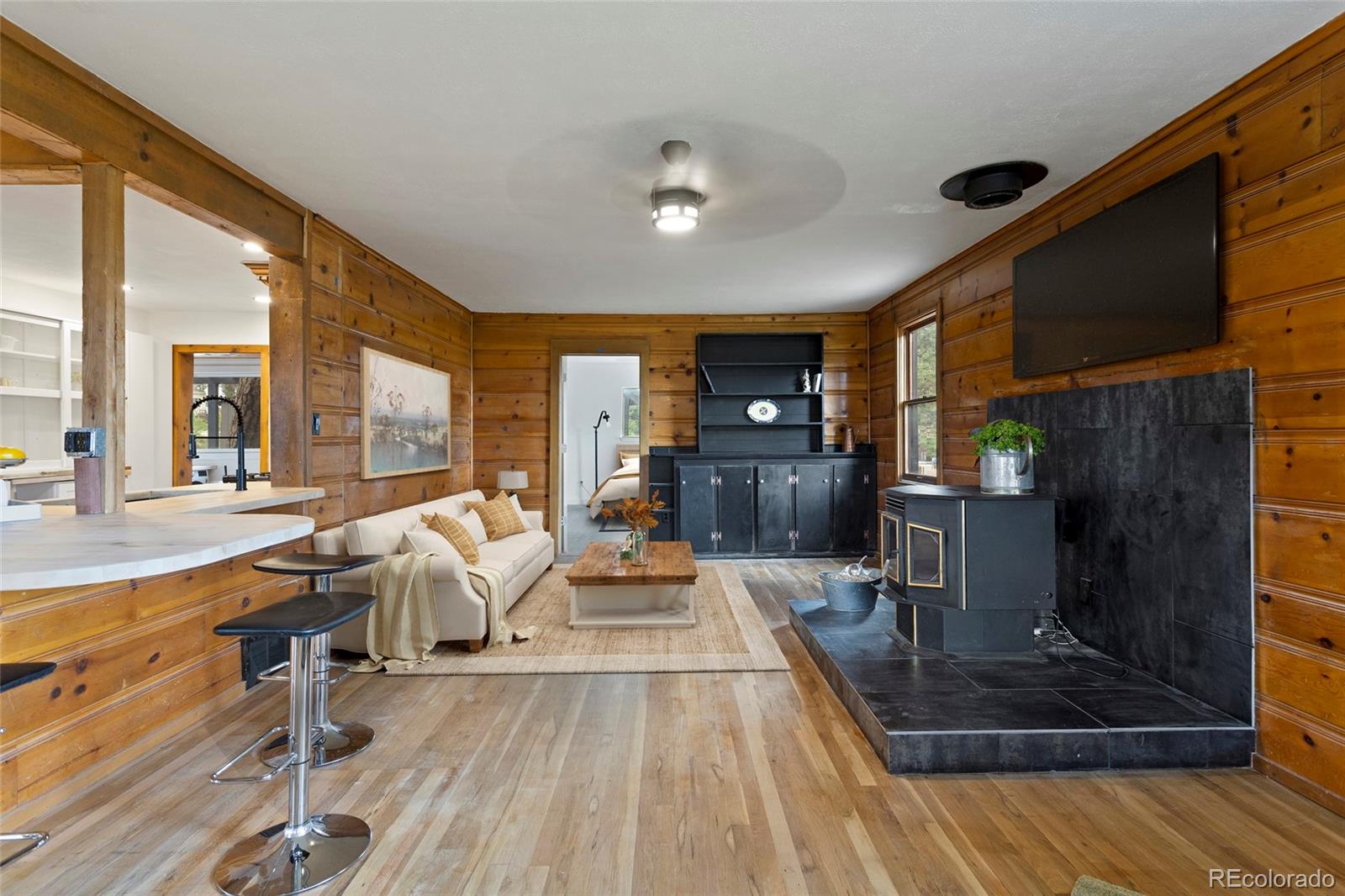 34200 Sioux Trail Pine, CO 80470 - Photo 10 of 37 a living room with furniture and a fireplace