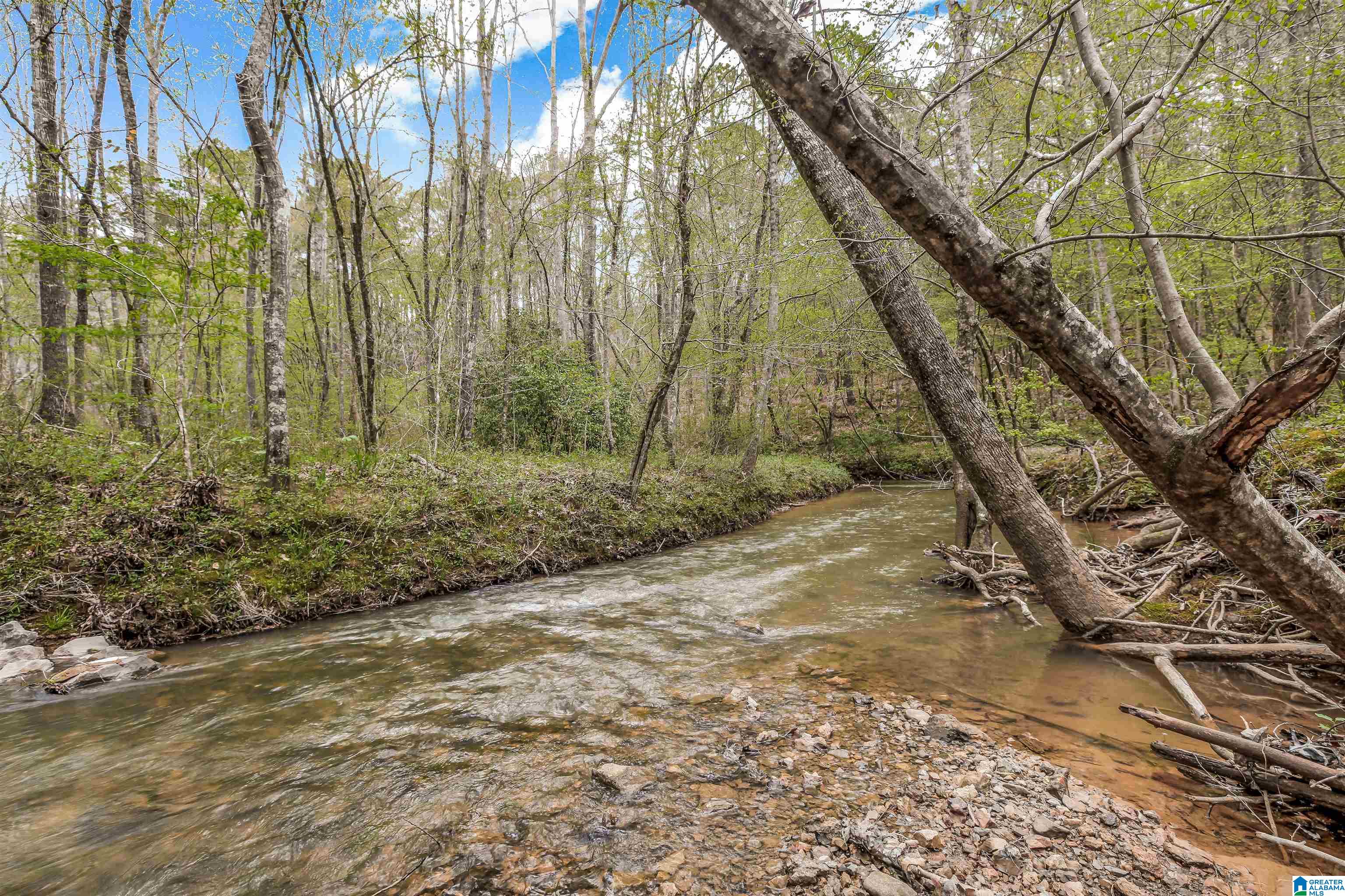 120 Mountain Crk Road Springville, AL 35146 - Photo 17 of 31