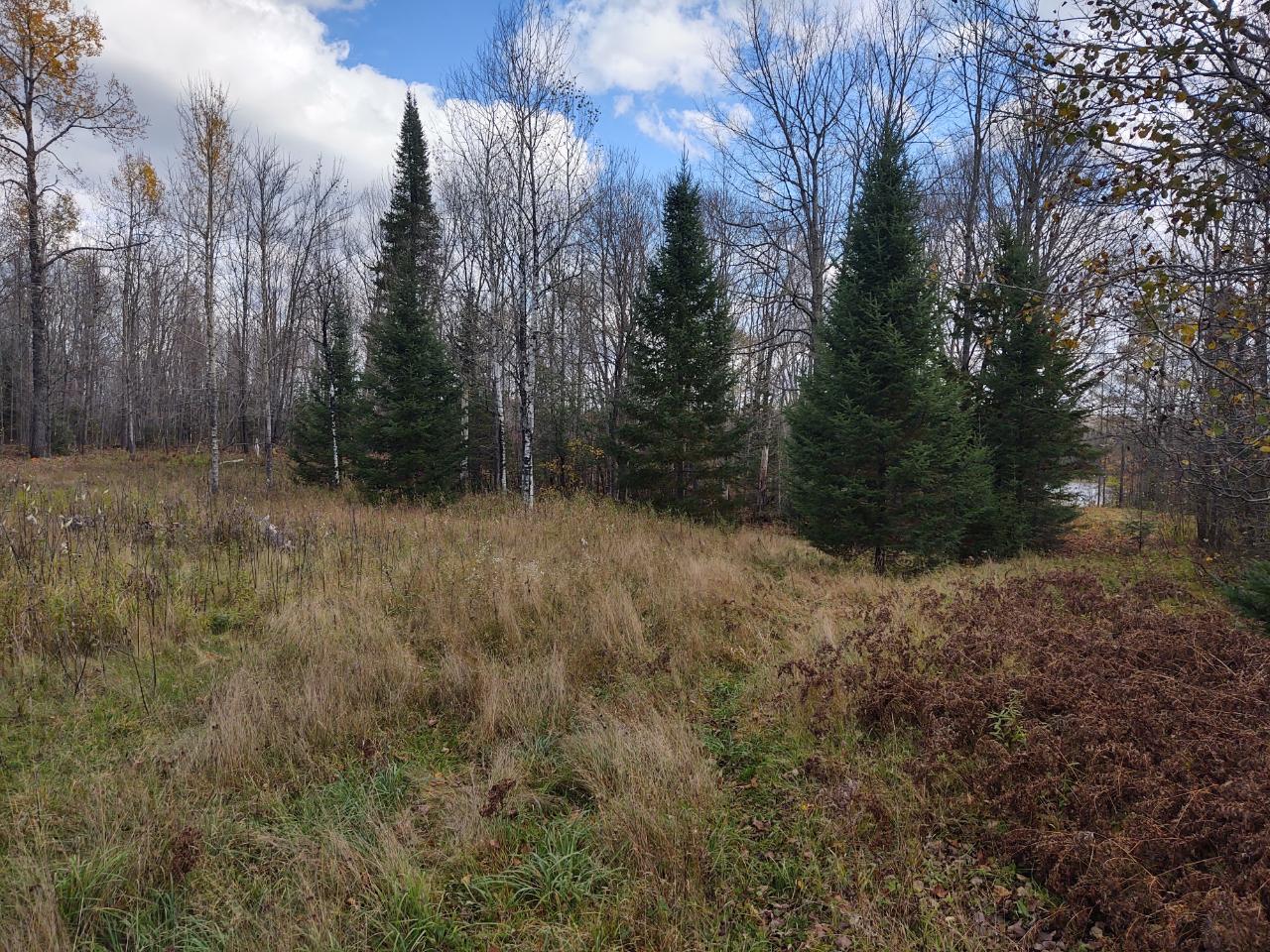 Lot 4 North River Road Park Falls, WI 54552 - Photo 26 of 37 Gallery Image 26