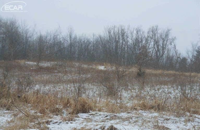 0 Lane Road Millington, MI 48746 - Photo 3 of 3