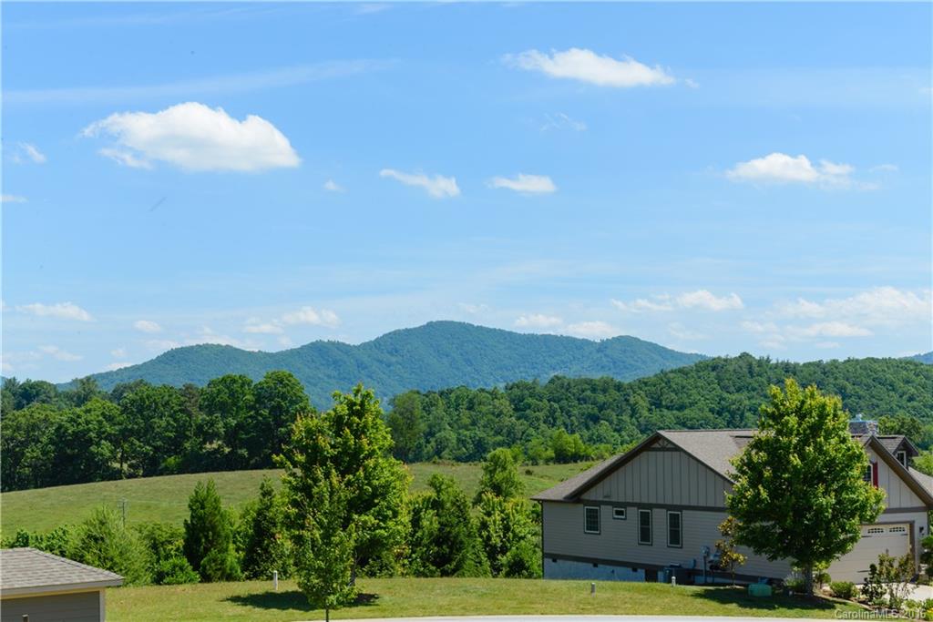 84 Rose Creek Road Leicester, NC 28748 - Photo 4 of 11 Gallery Image 4