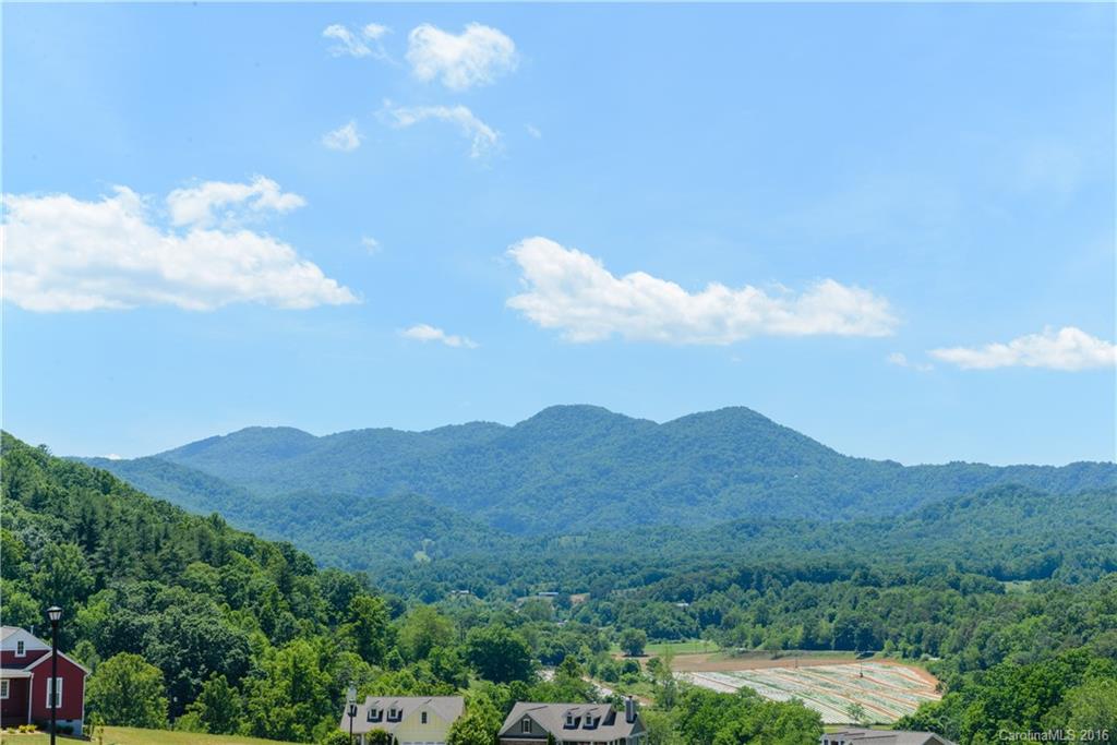 84 Rose Creek Road Leicester, NC 28748 - Photo 9 of 11 Gallery Image 9