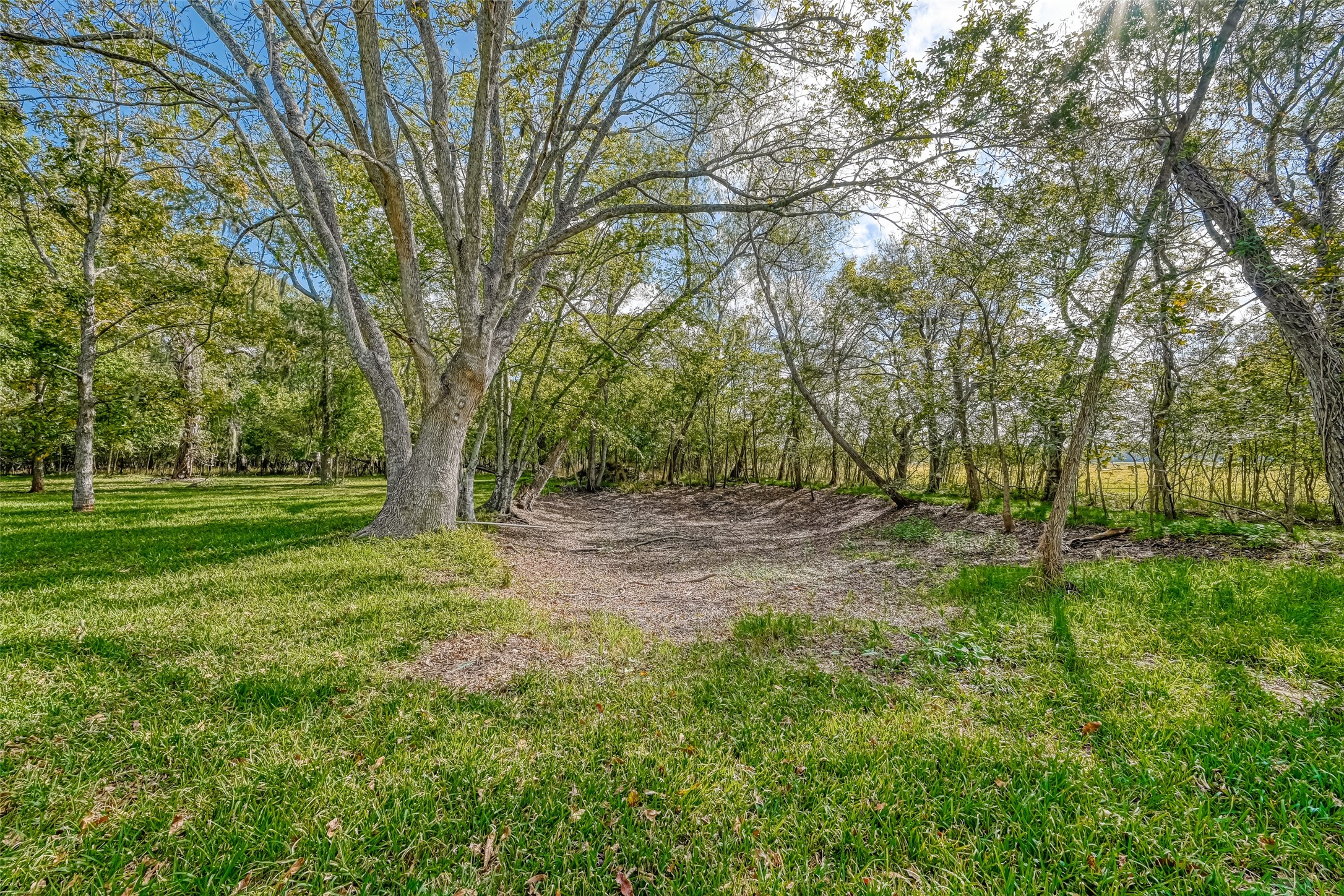 9205 Tigner Road Rosharon, TX 77583 - Photo 11 of 16