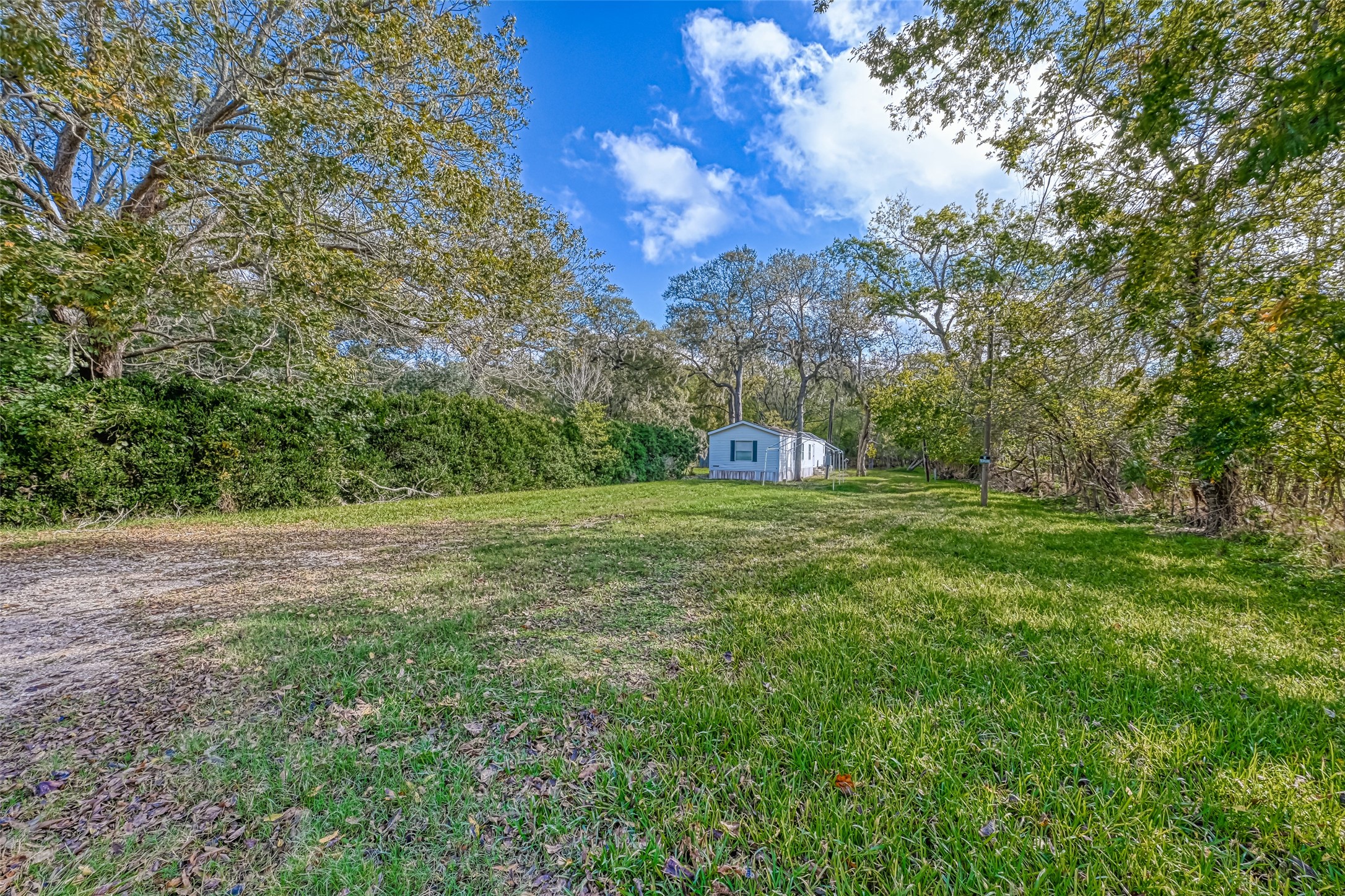 9205 Tigner Road Rosharon, TX 77583 - Photo 14 of 16