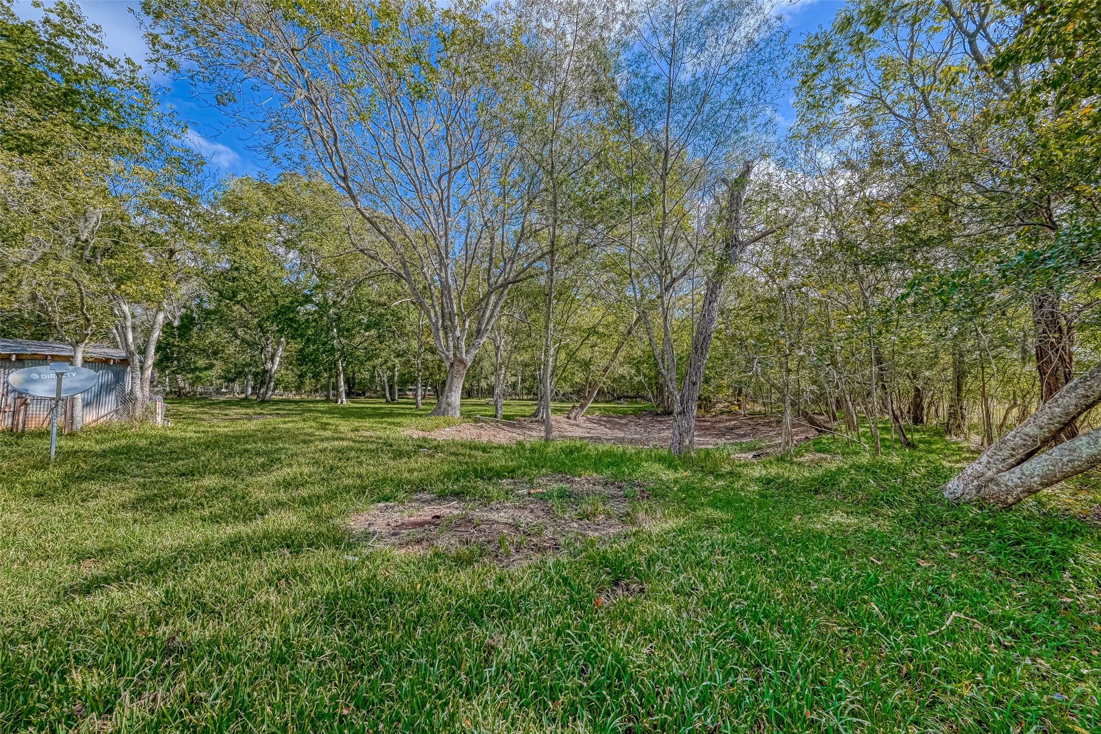 9205 Tigner Road Rosharon, TX 77583 - Photo 9 of 16