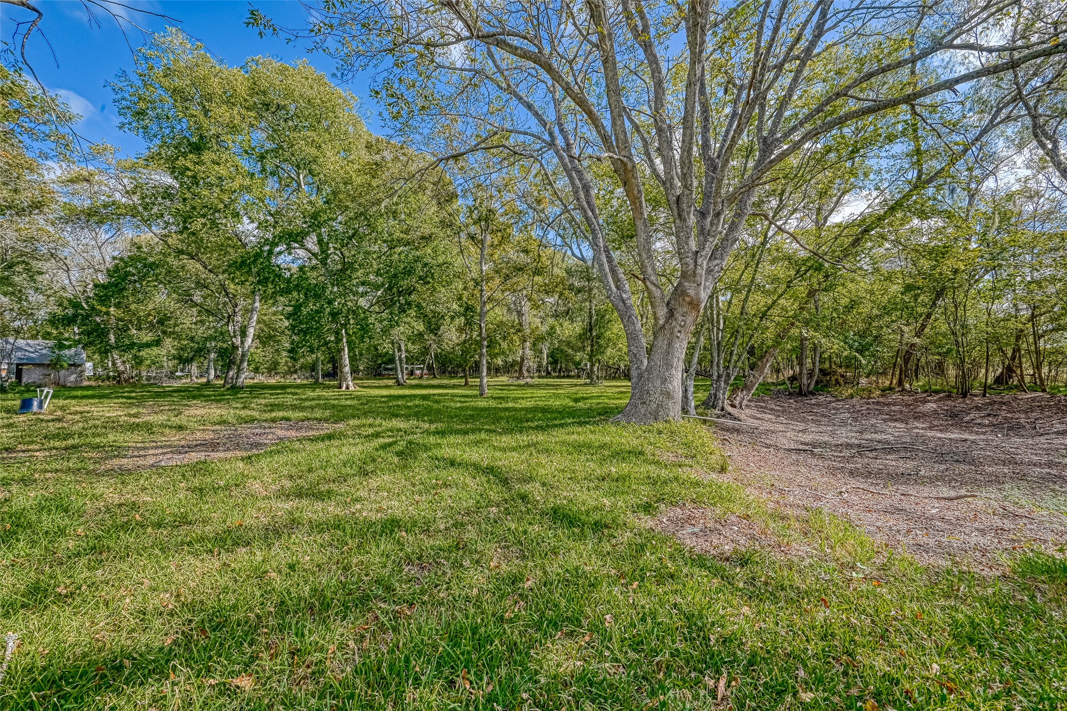 9205 Tigner Road Rosharon, TX 77583 - Photo 10 of 16