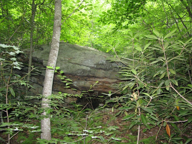 100 Deepwell Road Nettie, WV 26681 - Photo 11 of 14 Big Rock Forest-10