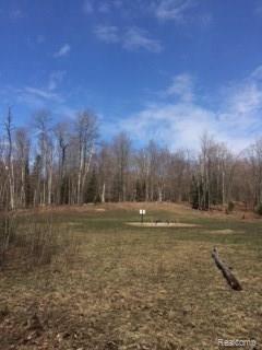 Vl Kidder Road Gaylord, MI 49735 - Photo 7 of 19