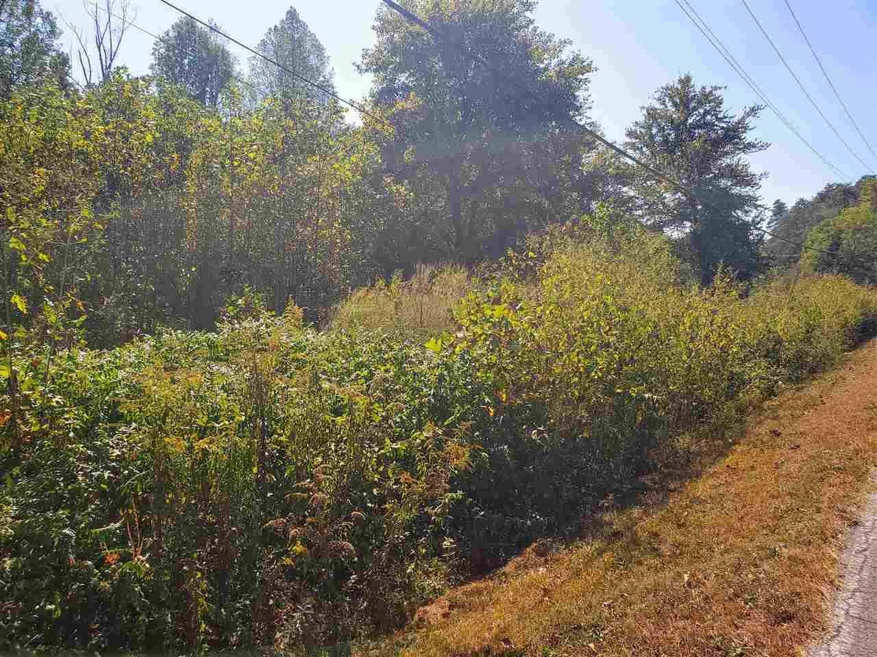 1532 Back Valley Road Dayton, TN 37321 - Photo 2 of 4
