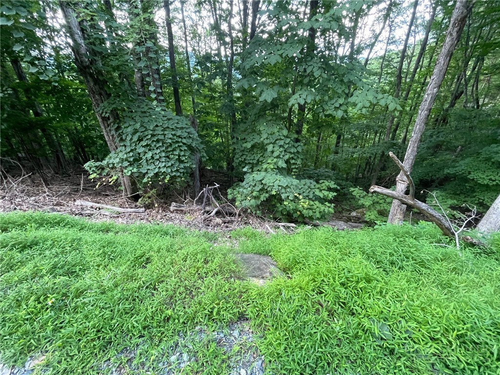 926 Pine Ridge Road Beech Mountain, NC 28604 - Photo 11 of 12