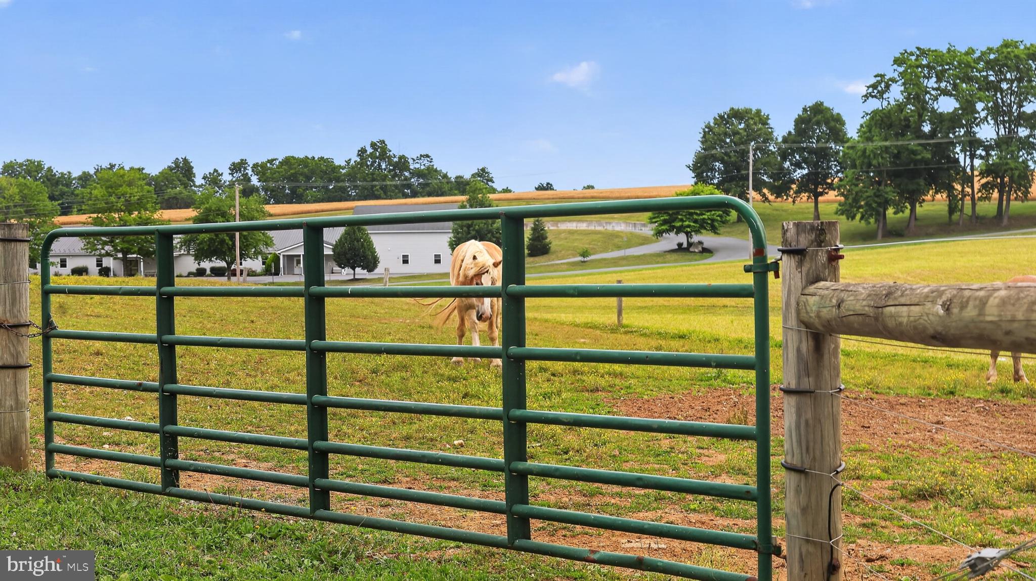 967 Farmdale Road Mount Joy, PA 17552 - Photo 75 of 77