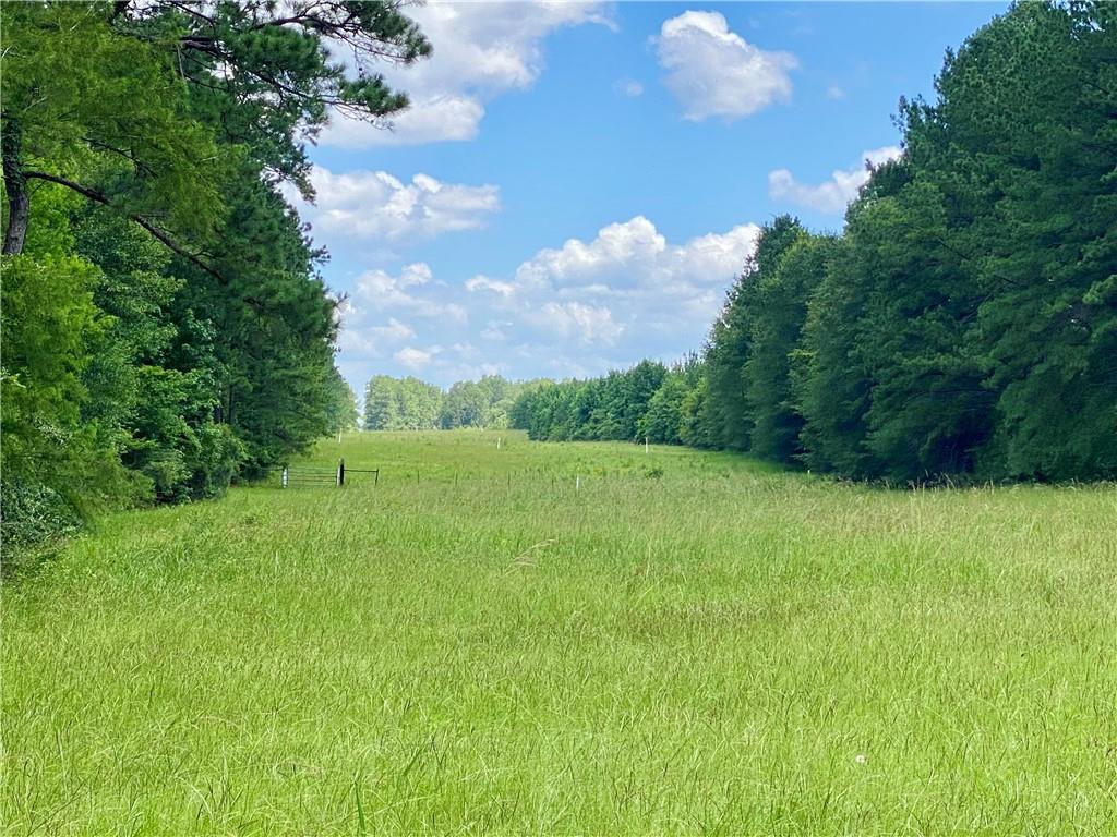 1705 Clear Creek Road Pollock, LA 71467 - Photo 53 of 55 Gallery Image 53