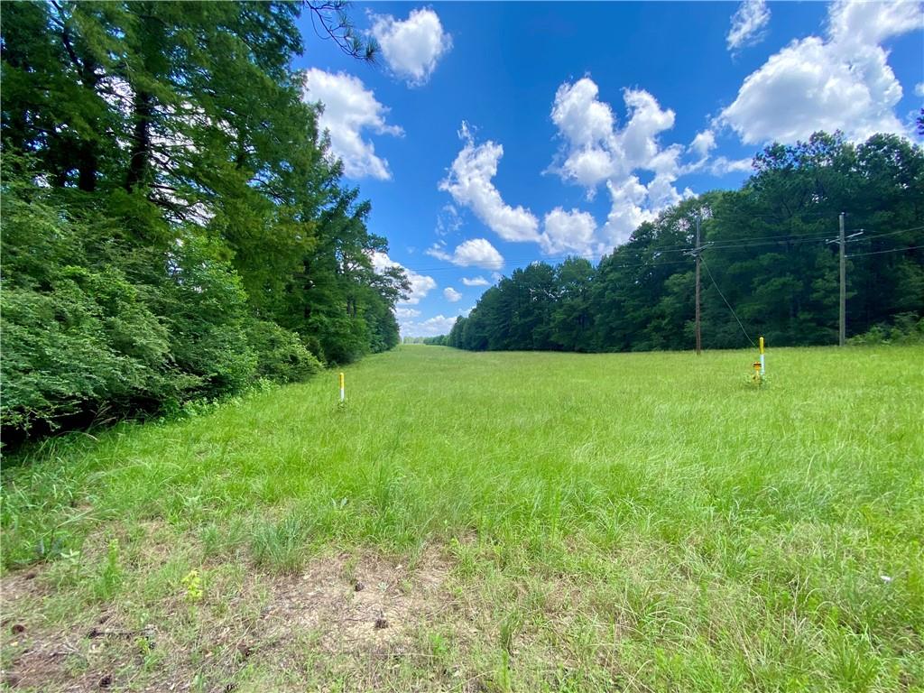 1705 Clear Creek Road Pollock, LA 71467 - Photo 54 of 55 Gallery Image 54