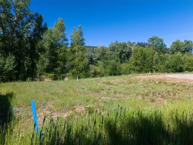 a view of a water pond with green yard