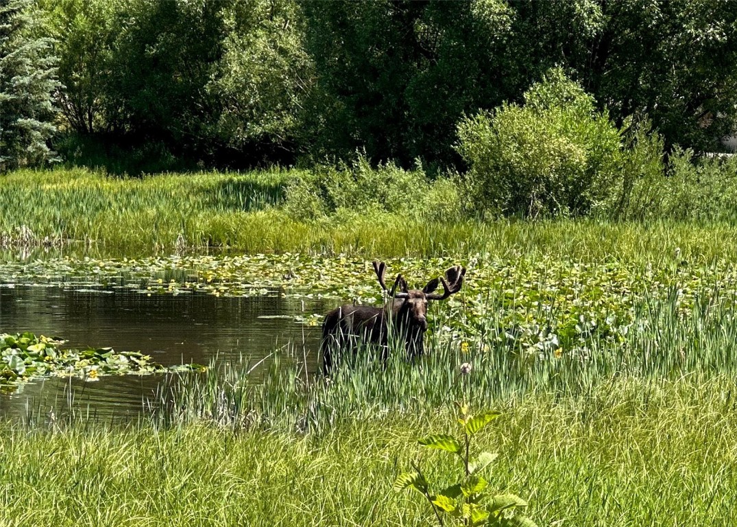 303 Riverview Way Steamboat Springs, CO 80487 - Photo 35 of 44 a view of lake