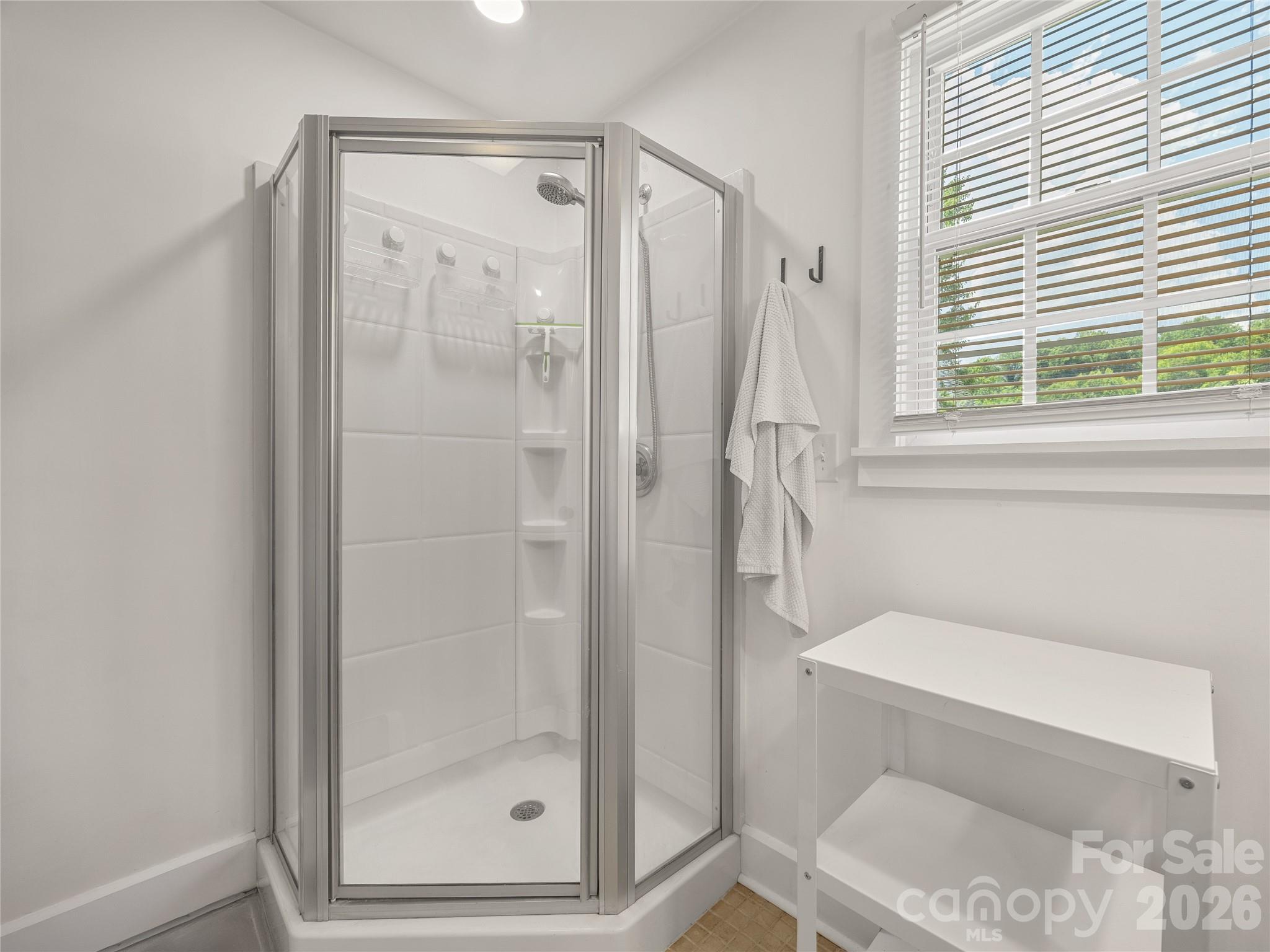 144 East Howard Street Tryon, NC 28782 - Photo 21 of 44