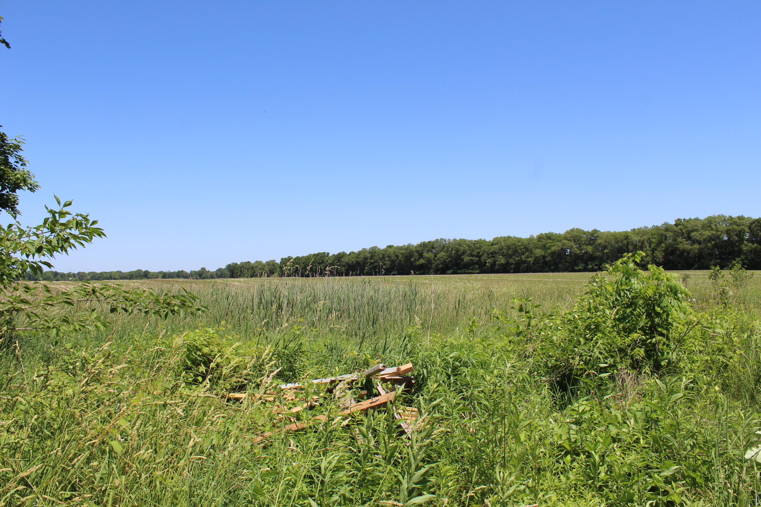 7147 Smith Road Berrien Center, MI 49102 - Photo 20 of 20 IMG_3304