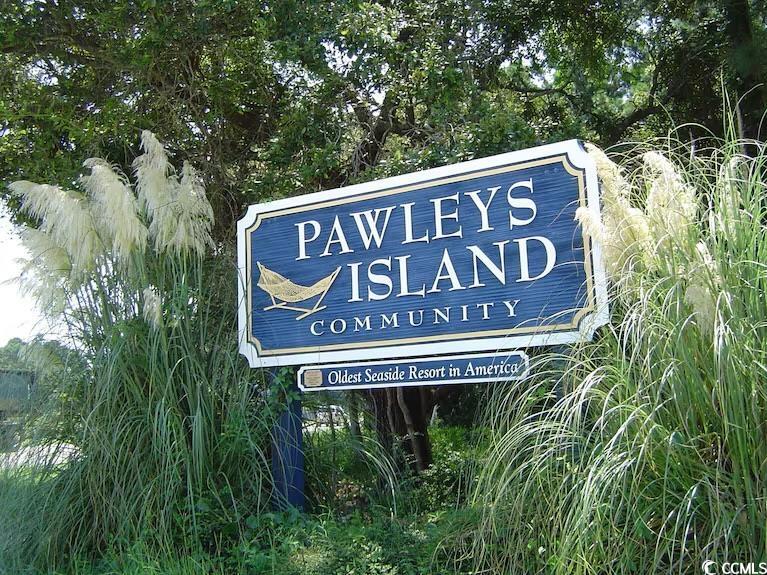 81 Mullet Bay Road Pawleys Island, SC 29585 - Photo 3 of 5 Gallery Image 3