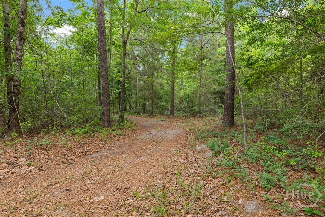 373 Chuck Ellis Road Portal, GA 30450 - Photo 50 of 67